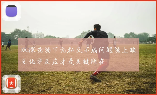 双探花场下无私交不成问题场上缺乏化学反应才是关键所在