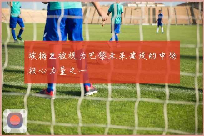 埃梅里被视为巴黎未来建设的中场核心力量之一